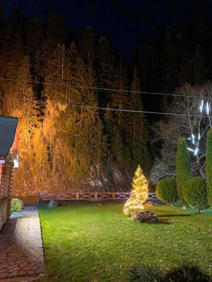Forest House タターリウ エクステリア 写真