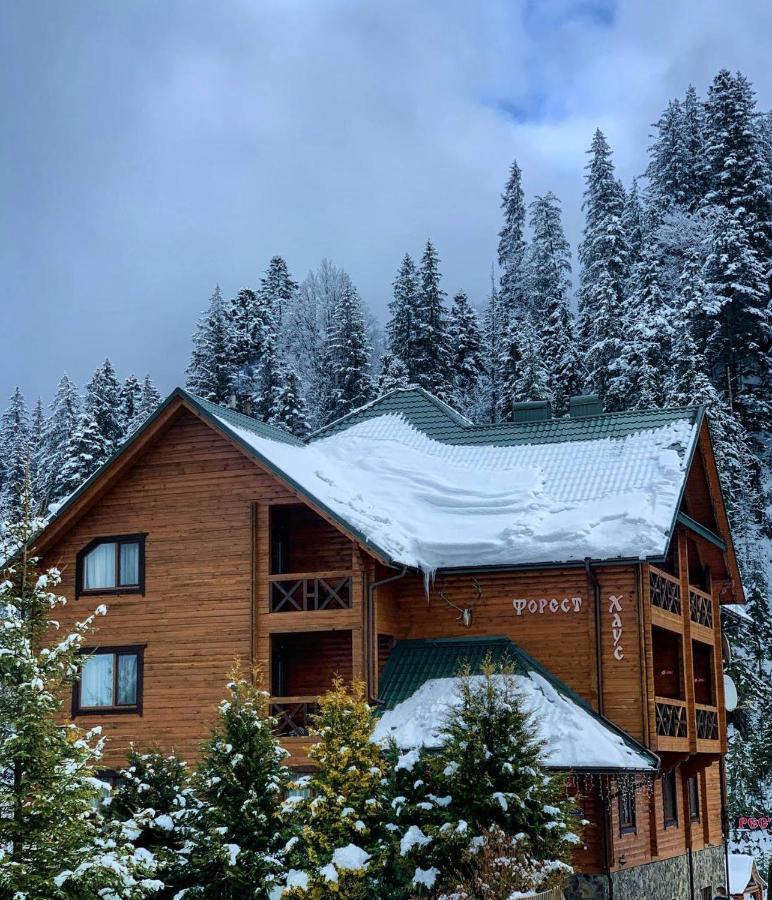 Forest House タターリウ エクステリア 写真