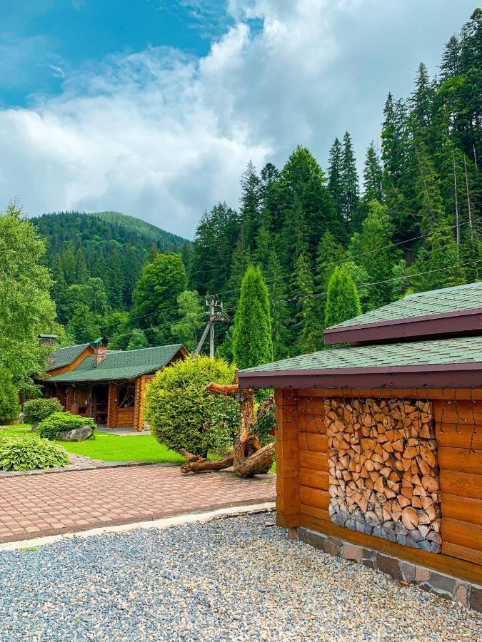Forest House タターリウ エクステリア 写真