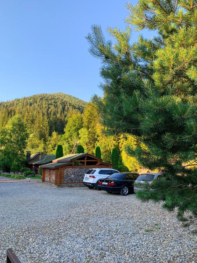 Forest House タターリウ エクステリア 写真